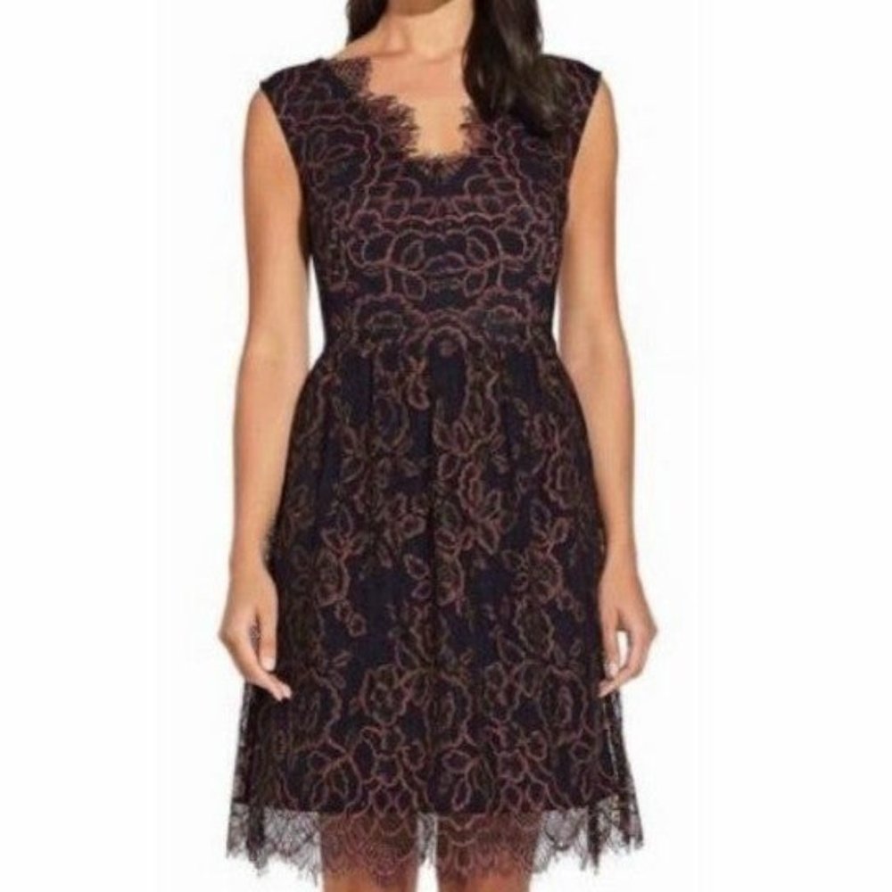 NWT Adrianna Papell lace fit and flare dress, 6